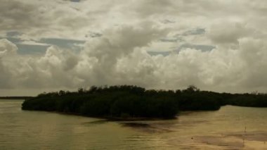 zaman atlama atış bataklık sian ka'an doğal park