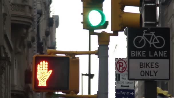 Traffic lights in a new york street scene — Stock Video