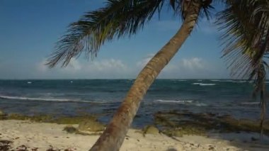 Timelapse mükemmel paradise Beach