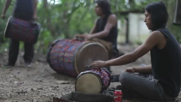 A group of drummers play in the jungle in palenque — Stock Video