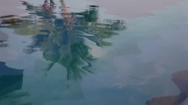 De reflecties van palmbomen in water — Stockvideo