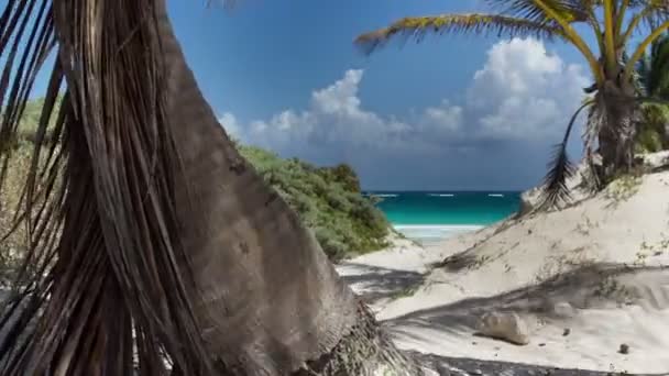 Timelapse de uma praia paradisíaca perfeita — Vídeo de Stock