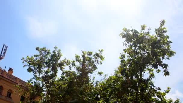 Panorama du ciel avec des bâtiments et des arbres — Video