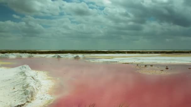 TimeLapse a sekély tenger lenyűgöző — Stock videók