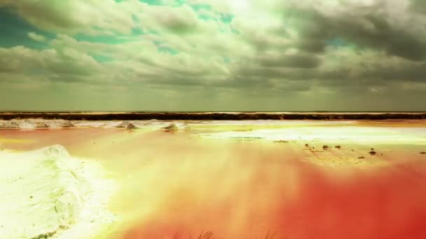 얕은 바다를 아름 다운 Timelapse — 비디오
