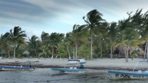 Små fiskebåtar ligger förtöjda i vackra karibiska vatten — Stockvideo