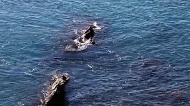 Timelapse di acqua che si schianta sulle rocce — Video Stock