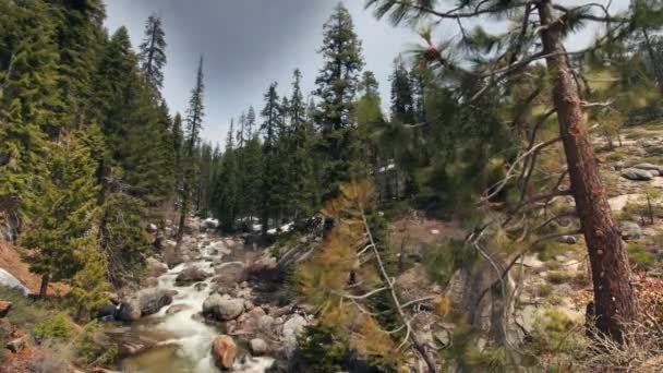 Schöner Wasserfall im Mammutbaum-Nationalpark — Stockvideo