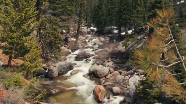 Schöner Wasserfall im Mammutbaum-Nationalpark — Stockvideo