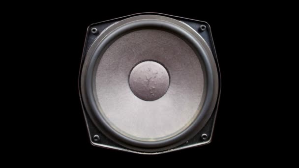 Un cône haut-parleur pompage au son de la basse — Video