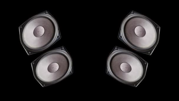 A speaker cone pumping to the sound of the bass — Stock Video