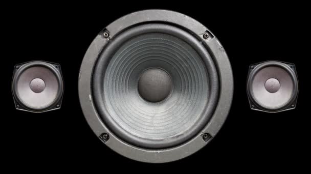 Um cone de alto-falante bombeando para o som do baixo — Vídeo de Stock