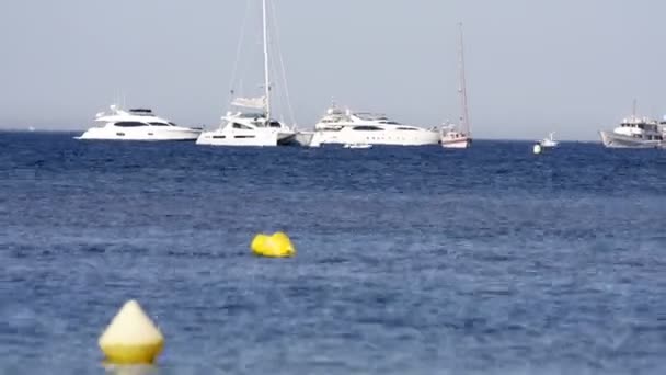 Calendário do porto em St Tropez, França — Vídeo de Stock