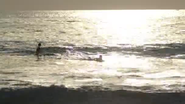 Idő-csúszás lövés szörfösök Mexikóban — Stock videók
