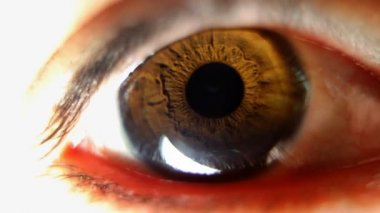 Etrafa göz yakın çekim