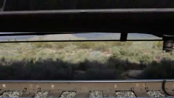 Очень длинный грузовой поезд, проходящий в Америке — стоковое видео