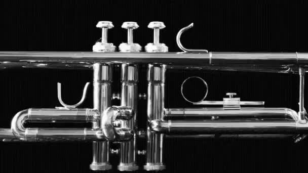 Stop motion clip of a trumpet spinning around — Stock Video