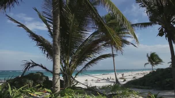 Playa paradisíaca, costa caribeña mexicana — Vídeos de Stock