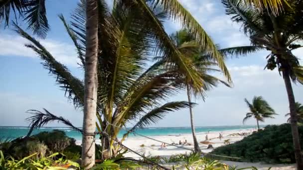 Timelapse d'une plage paradisiaque, côte caraïbe mexicaine 