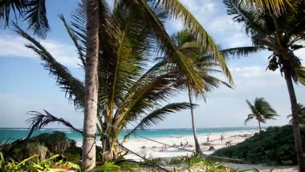 Timelapse of a paradise beach, mexican caribbean coast — Stock Video