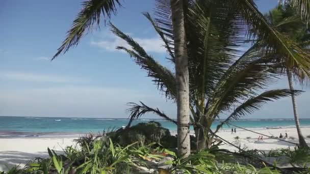 Paradiesstrand, mexikanische Karibikküste — Stockvideo