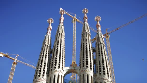 Construction work on the famous and iconic sagrada familia — Stock Video