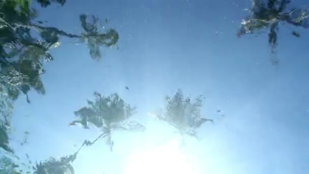 Камера, розміщена під водою у басейні — стокове відео