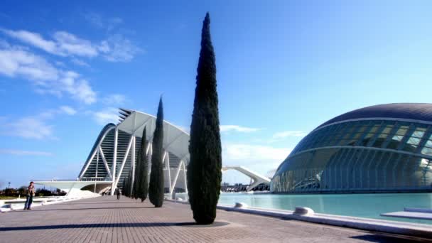 La ciudad de la ciencia y las artes en Valencia — Vídeo de stock