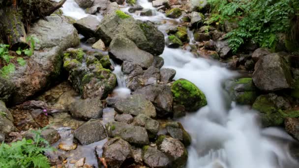 Weich verlangsamendes Wasser in einem Wasserfall in den Rila-Bergen — Stockvideo