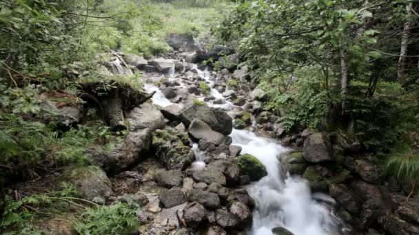 Soft slowing water in a waterfall in the rila mountians — Stock Video