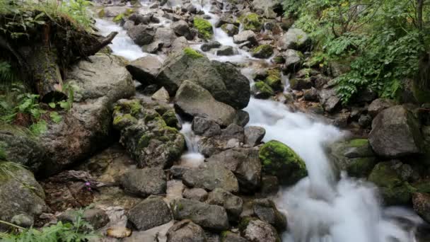 Doux ralentissement de l'eau dans une cascade dans les montagnes rila — Video