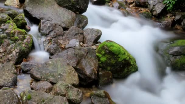 Weich verlangsamendes Wasser in einem Wasserfall in den Rila-Bergen — Stockvideo