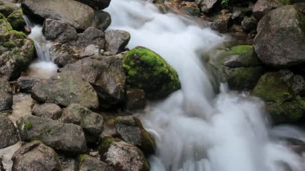 Weich verlangsamendes Wasser in einem Wasserfall in den Rila-Bergen — Stockvideo