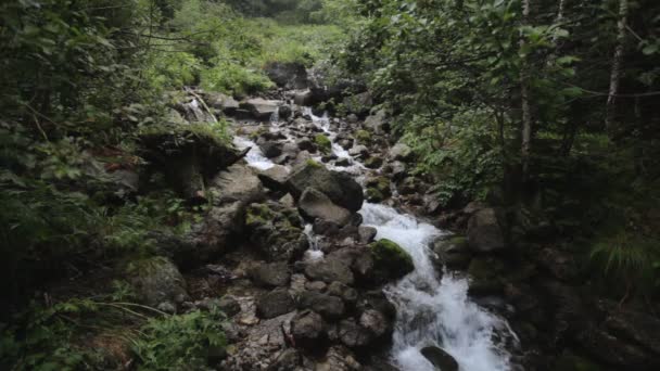 Doux ralentissement de l'eau dans une cascade dans les montagnes rila — Video