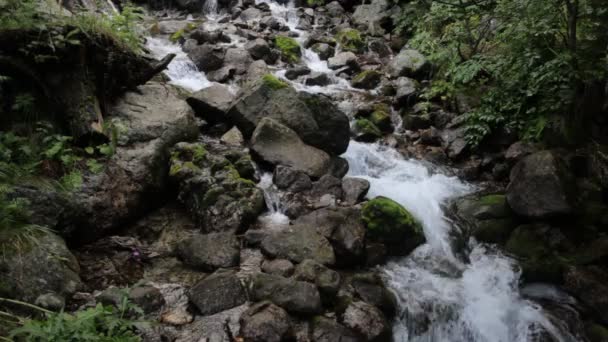 Lembut memperlambat air di air terjun di pegunungan rila — Stok Video