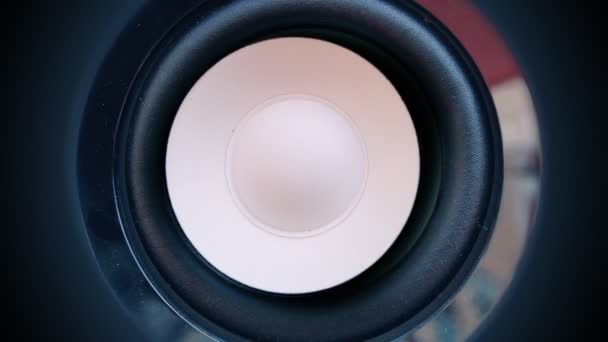 A speaker cone pumping to the sound of the bass — Stock Video