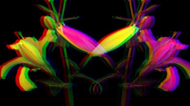 Sarı, Illy 5 gün çekildi