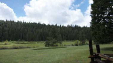 yosemite Milli Parkı içinde güzel manzara요세미티 국립 공원에 아름 다운 풍경