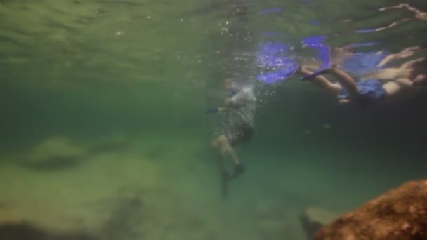 Inyecciones submarinas mientras bucea en un parque marino — Vídeo de stock