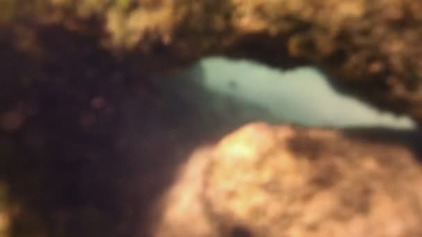 海洋公園でシュノーケ リングをしながら水中撮影 — ストック動画