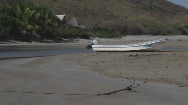 Pescadores llegando al amanecer en zihuatanejo — Vídeos de Stock