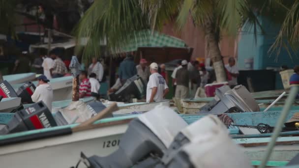 Fishermen arriving at dawn in zihuatanejo with their catch — Stock Video
