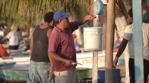 Pescadores que chegam ao amanhecer no zihuatanejo com as suas capturas — Vídeo de Stock