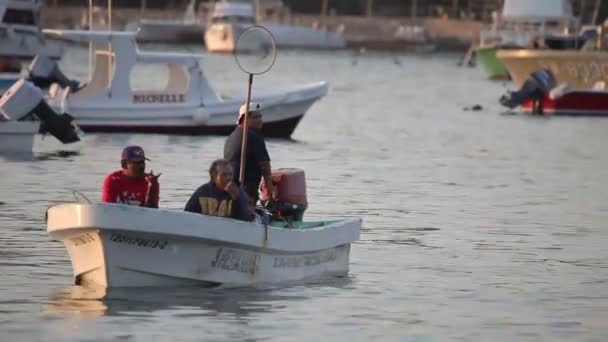 Fishermen arriving at dawn in zihuatanejo with their catch — Stock Video