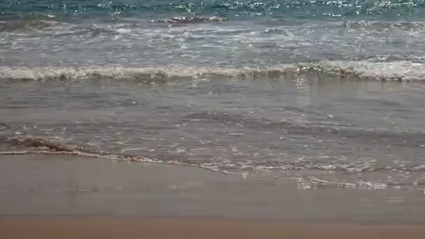 Schöner versteckter Strand von Waikiki — Stockvideo