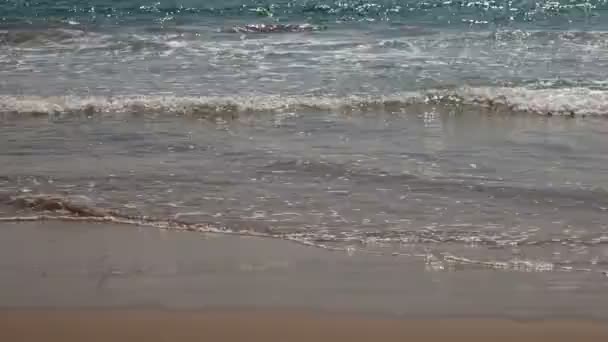 Belle plage cachée de waikiki 