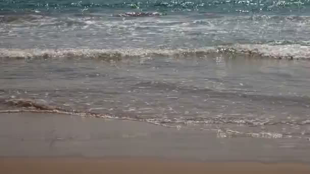 Vackra gömda stranden i waikiki — Stockvideo