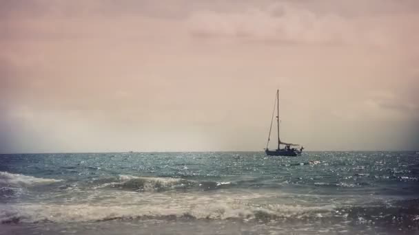 可爱隐藏的海滩的威基基 — 图库视频影像