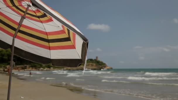 Güzel gizli beach waikiki — Stok video