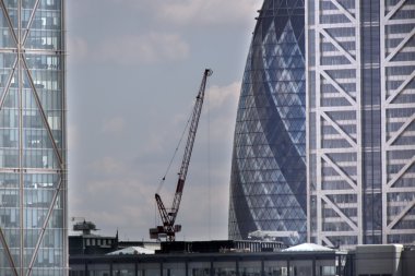 Kornişon balıkgözü